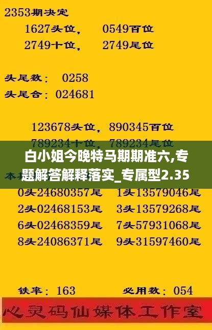 白小姐今晚特马期期准六,专题解答解释落实_专属型2.353