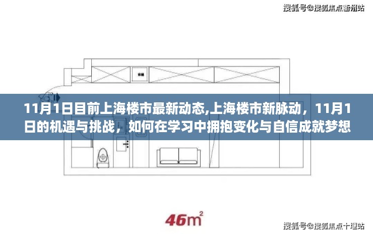 上海楼市最新动态揭秘，11月机遇与挑战并存，拥抱变化自信成就梦想之路