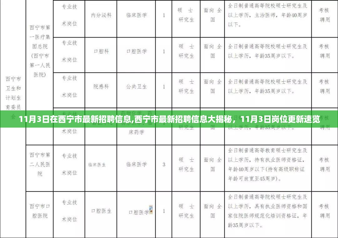 西宁市最新招聘信息揭秘，11月3日岗位更新速览