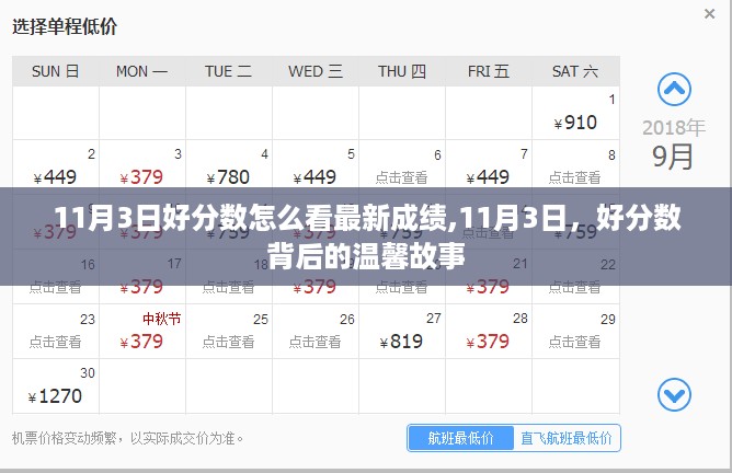 11月3日好分数背后的故事，最新成绩与温馨时刻