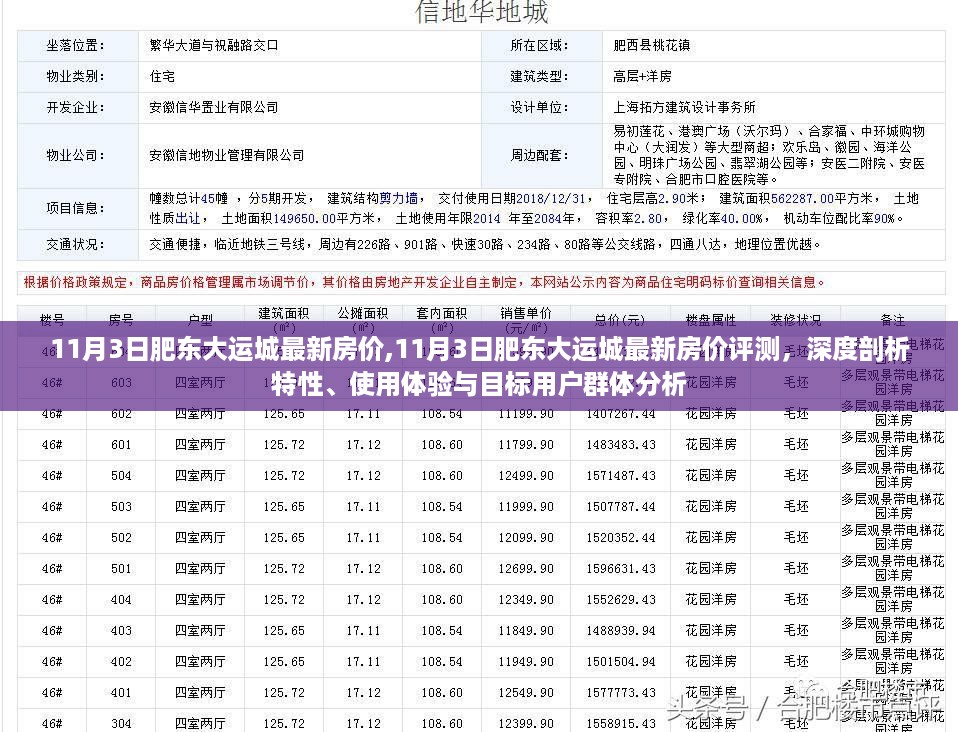 11月3日肥东大运城房价解析，深度剖析特性、用户体验与目标用户群体分析