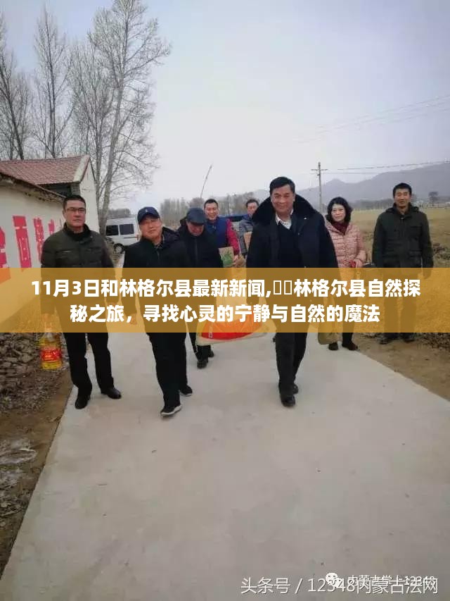 林格尔县自然探秘之旅，最新新闻与心灵宁静的自然魔法探寻