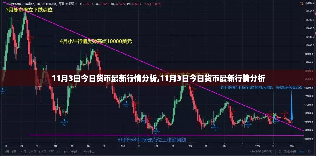 独家解析，最新货币行情报告，深度解读11月3日市场动态