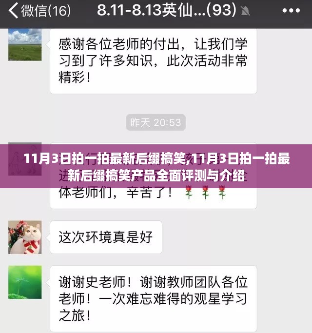 11月3日拍一拍最新后缀搞笑产品大解密，全面评测与趣味介绍