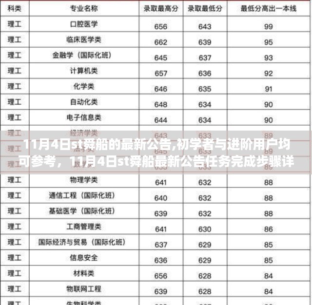 11月4日st舜船公告详解，适合初学者与进阶用户的任务完成步骤指南