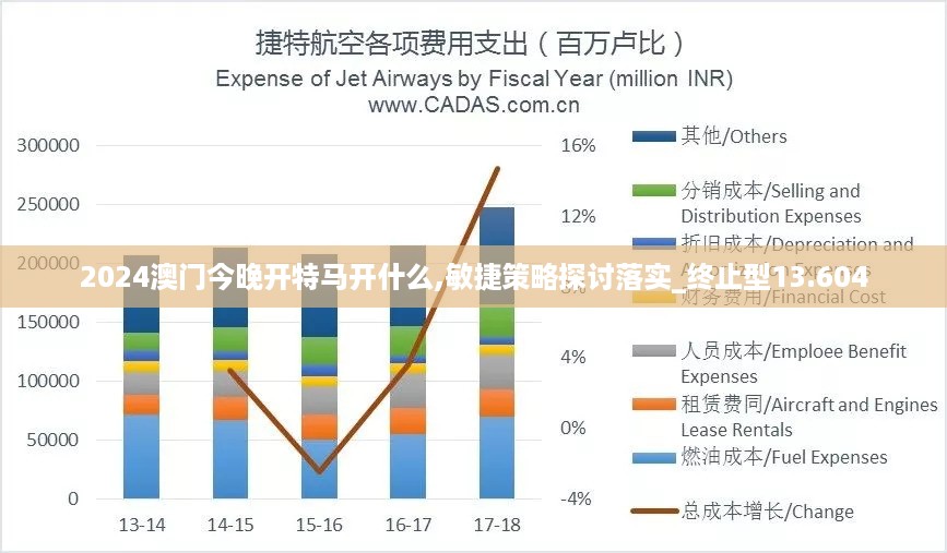 2024澳门今晚开特马开什么,敏捷策略探讨落实_终止型13.604