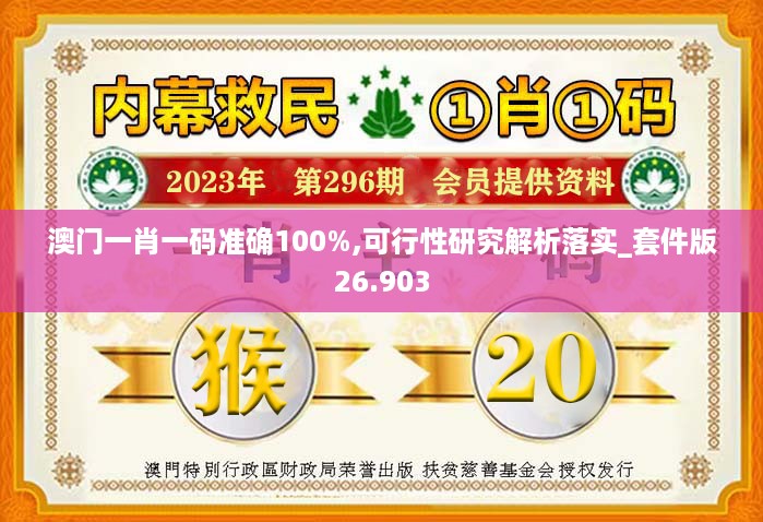 澳门一肖一码准确100%,可行性研究解析落实_套件版26.903