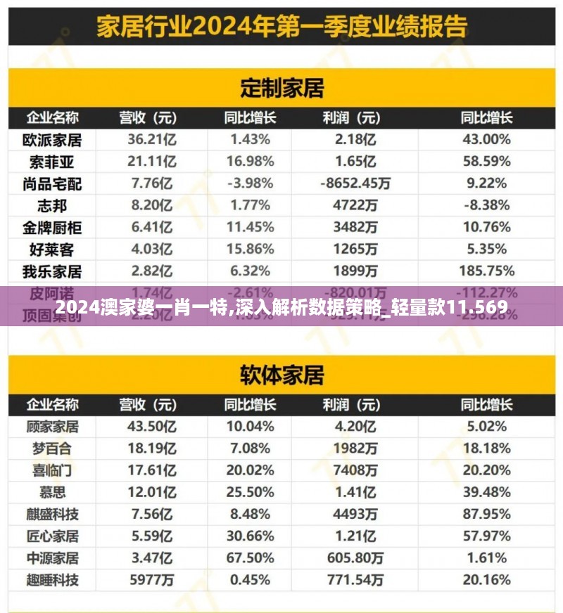 2024澳家婆一肖一特,深入解析数据策略_轻量款11.569