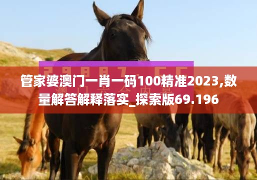 管家婆澳门一肖一码100精准2023,数量解答解释落实_探索版69.196