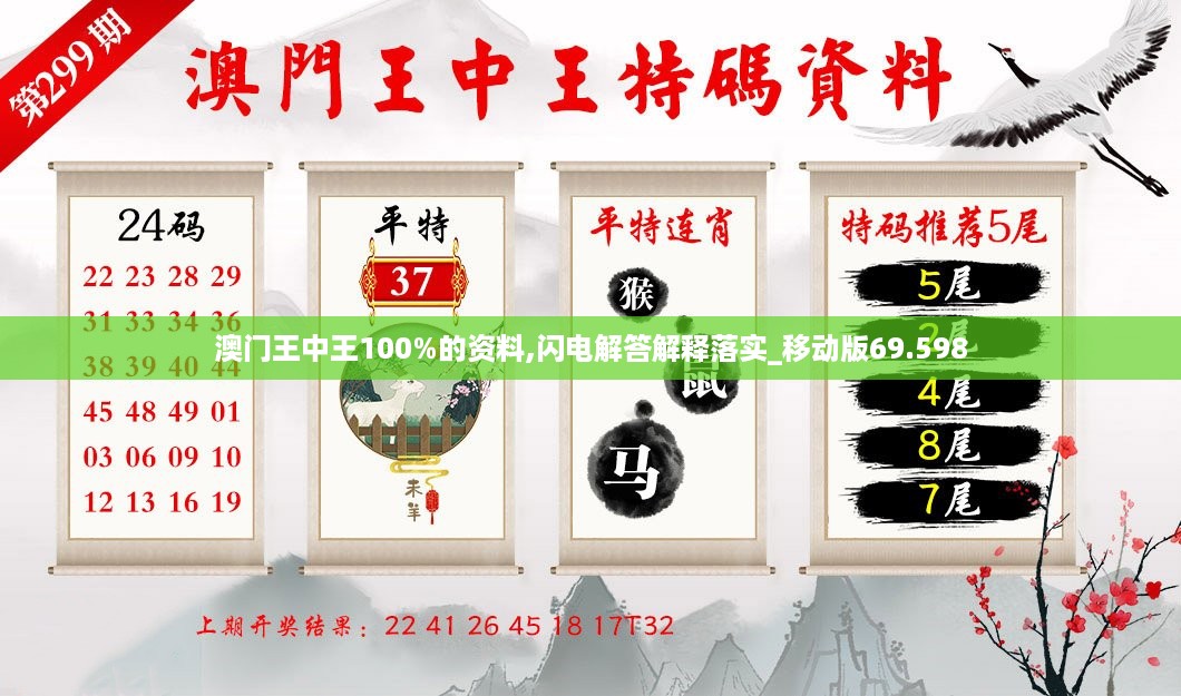 澳门王中王100%的资料,闪电解答解释落实_移动版69.598