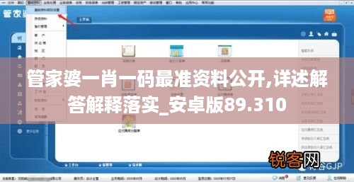 管家婆一肖一码最准资料公开,详述解答解释落实_安卓版89.310