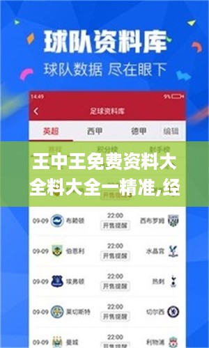 王中王免费资料大全料大全一精准,经验解答解释落实_premium38.436