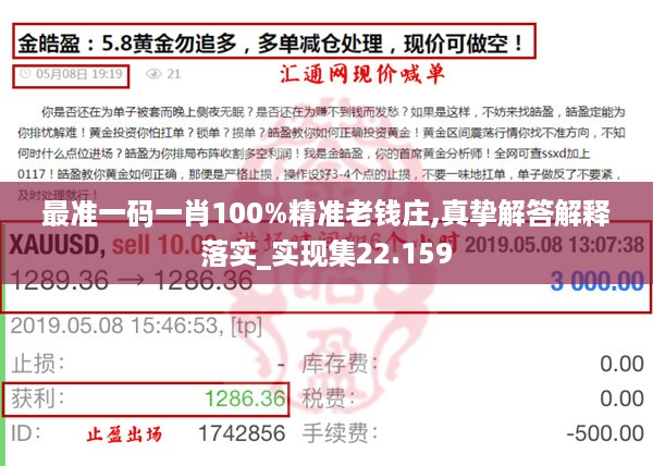 最准一码一肖100%精准老钱庄,真挚解答解释落实_实现集22.159