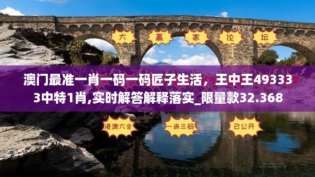 澳门最准一肖一码一码匠子生活，王中王493333中特1肖,实时解答解释落实_限量款32.368