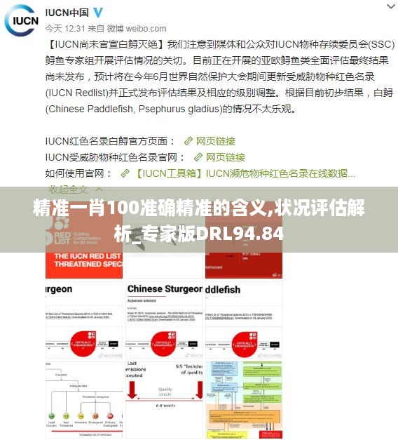 精准一肖100准确精准的含义,状况评估解析_专家版drl94.84