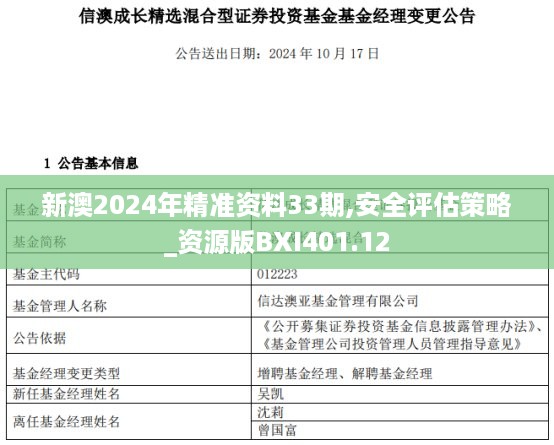 新澳2024年精准资料33期,安全评估策略_资源版bxi401.12