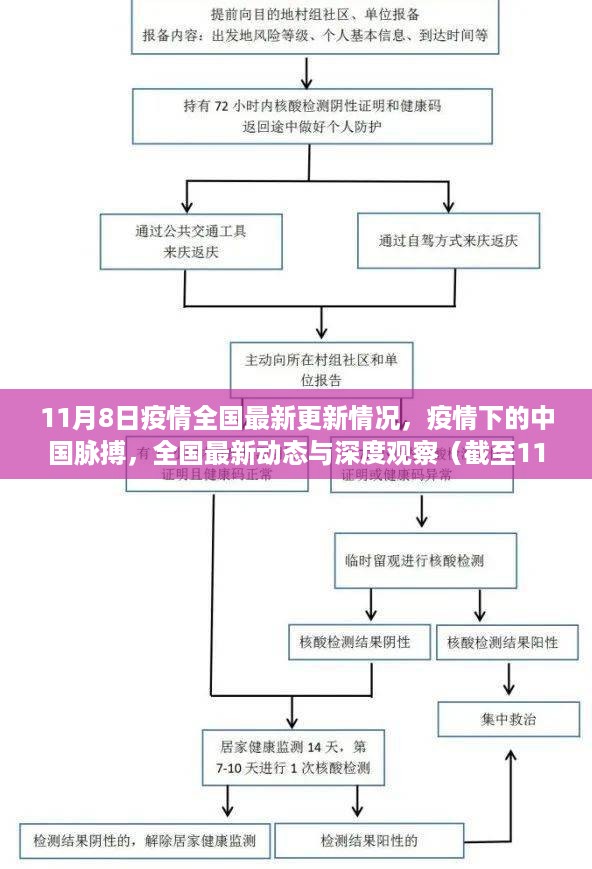 截至11月8日，中国疫情最新动态与深度观察，全国更新情况及深度分析