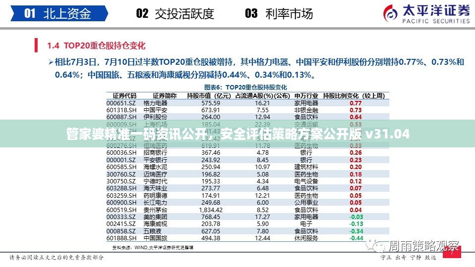 管家婆精准一码资讯公开，安全评估策略方案公开版 v31.04