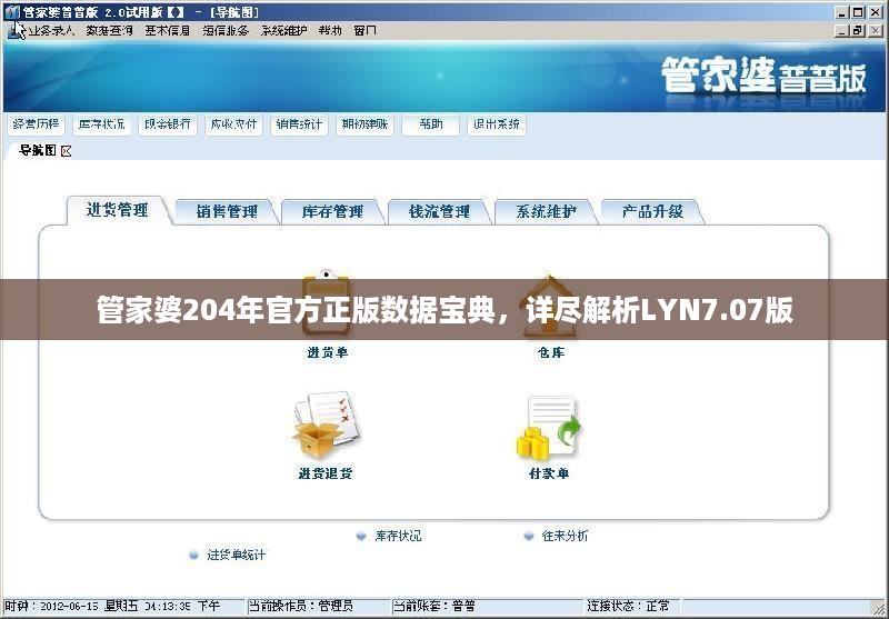 管家婆204年官方正版数据宝典，详尽解析lyn7.07版