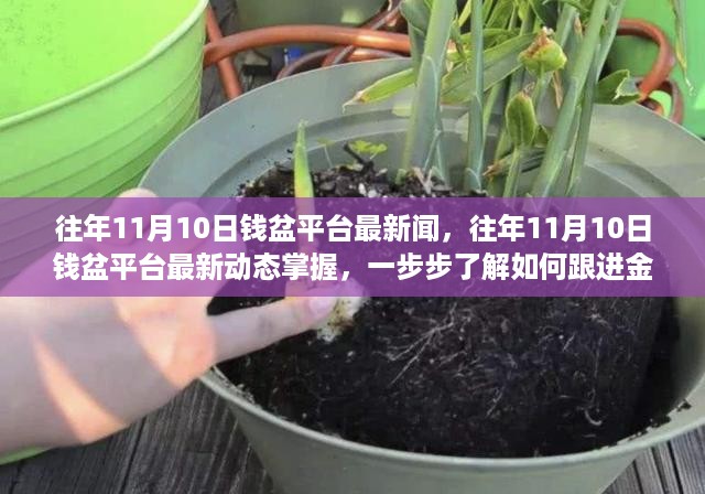 往年11月10日钱盆平台最新动态解析，掌握金融资讯跟进指南