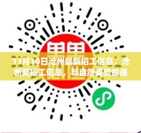 沧州最新招工信息与自然美景之旅，启程寻找内心的宁静